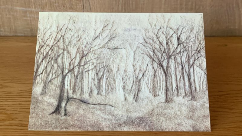 In Fordham Wood Greeting Card