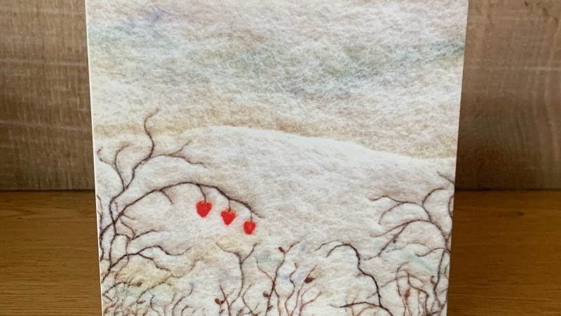 Lanterns Greeting Card
