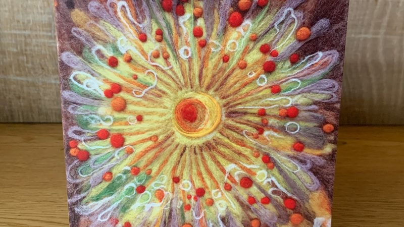 Sea Anemone 1 Greeting Card