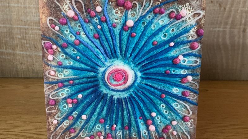 Sea Anemone 3 Greeting Card