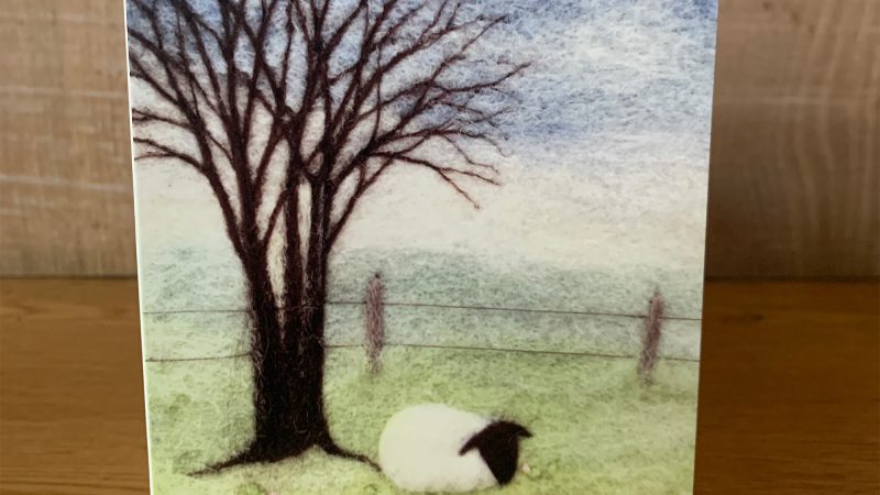 Sheep in Spring Greeting Card