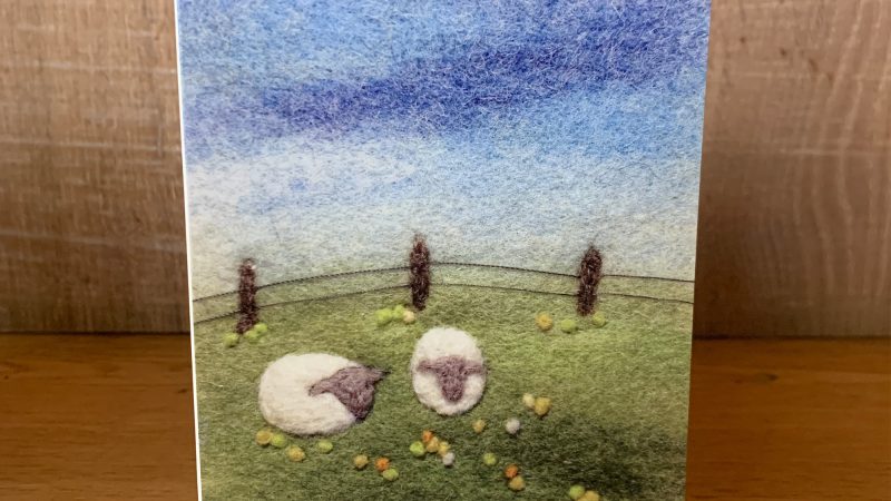 Sheep in Summer Meadow Greeting Card