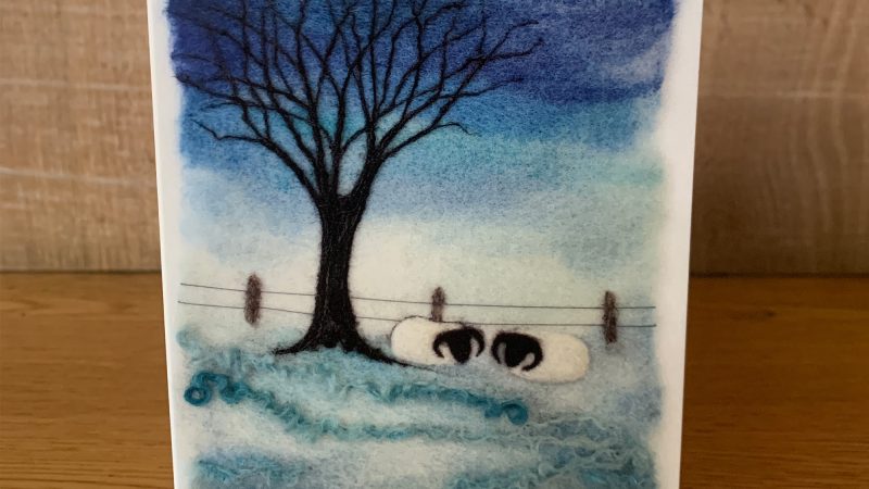 Sheep in Winter Greeting Card